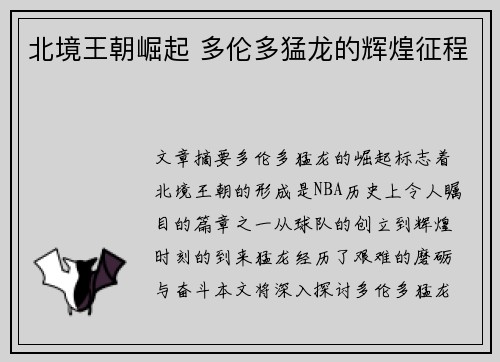 北境王朝崛起 多伦多猛龙的辉煌征程